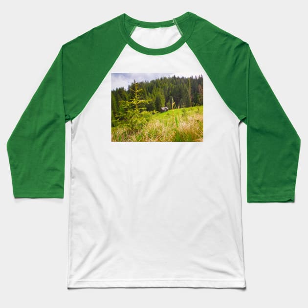 in the woods Baseball T-Shirt by psychoshadow